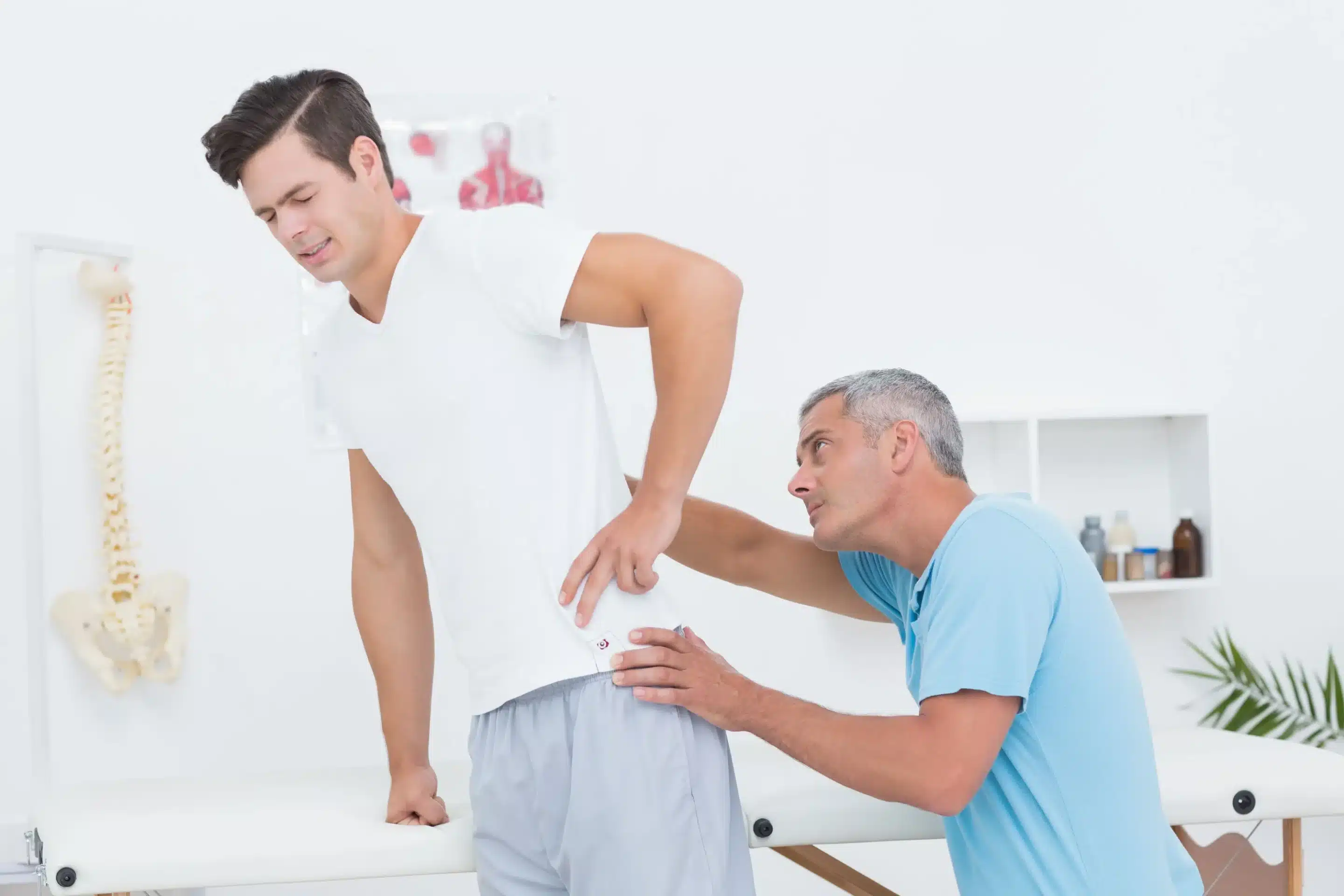 Longwood Chiropractic Services