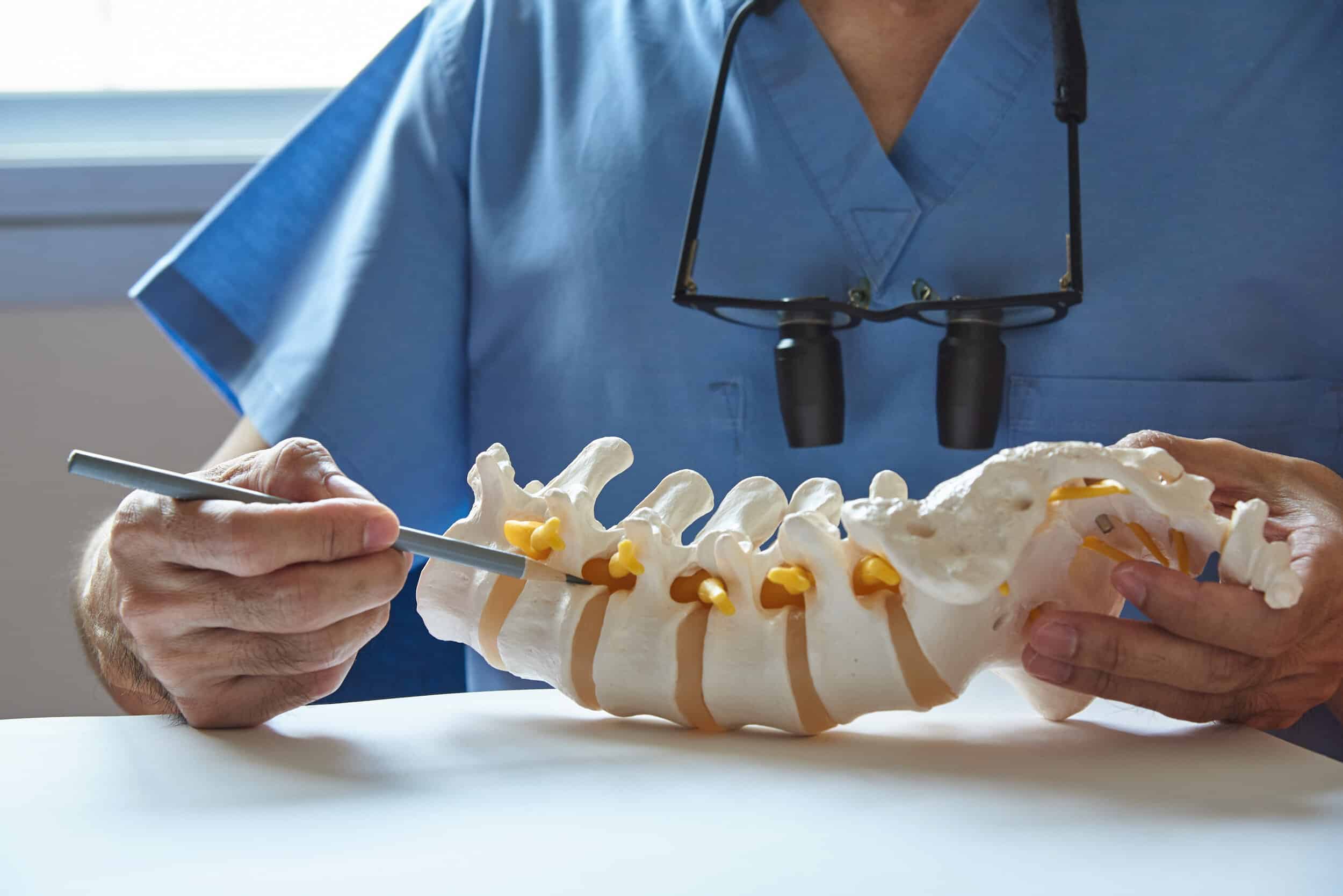 Longwood Chiropractic Services
